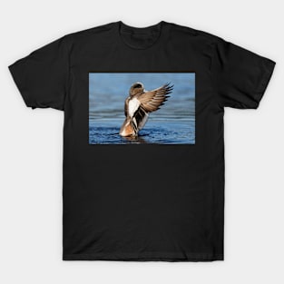 Wings of the Wigeon T-Shirt